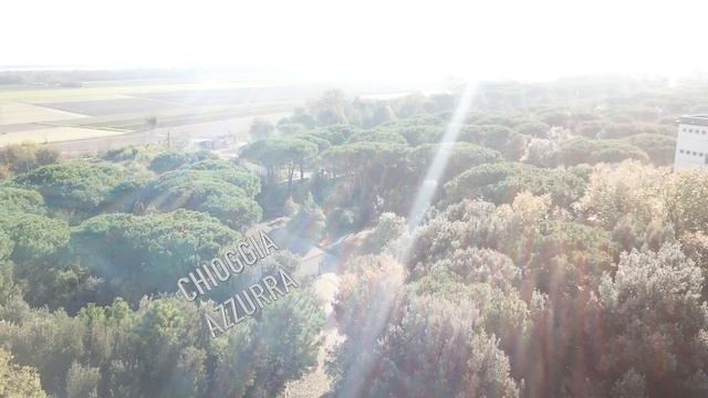 TG AZZURRA: TRANSENNE E FURGONE IN PIAZZA PER GARANTIRE SICUREZZA AL MERCATINO -nr 283, 18 novembre смотреть онлайн