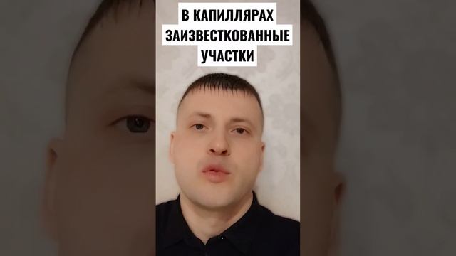 ЗАИЗВЕСТКОВАННЫЕ УЧАСТКИ В КАПИЛЛЯРАХ смотреть онлайн