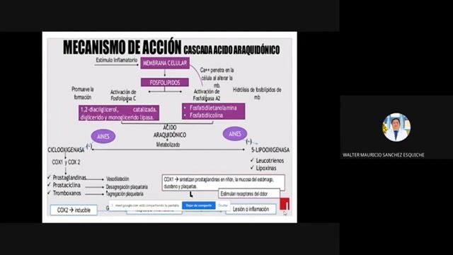 Antiparquinsonianos UNIDAD II смотреть онлайн