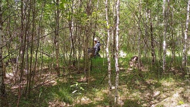 Прогулка по лесу . Остался без воды смотреть онлайн