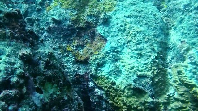 11 июля Дайвинг в Нячанге смотреть онлайн