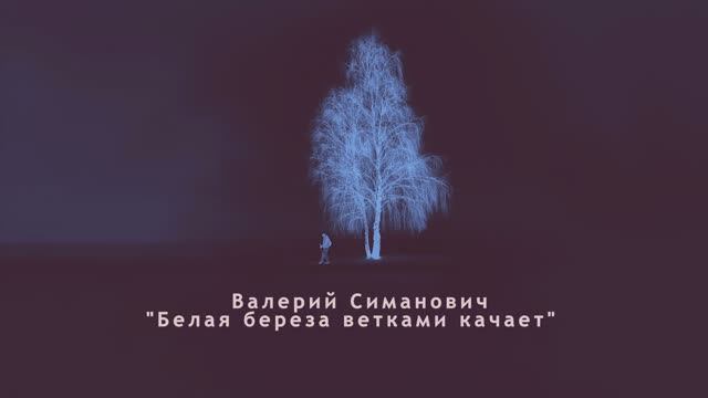 Валерий Симанович. Белая береза ветками качает.