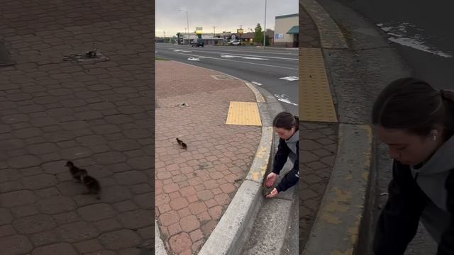 Подпишись на Нас для тебя это пустяк, а нам будет очень приятно смотреть онлайн