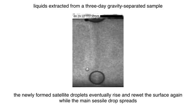 Phase Equilibrium Dynamics of Aqueous Dextran-Gelatin Solutions in the [...] смотреть онлайн