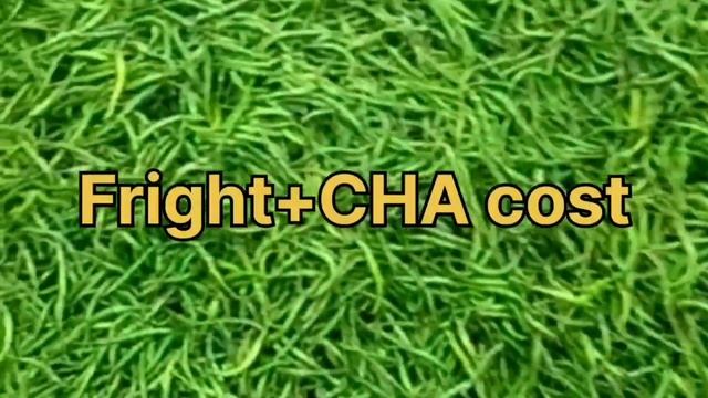 Green chilli Export करे 1 container में 1लाख का profit | export import business | business idea 202 смотреть онлайн