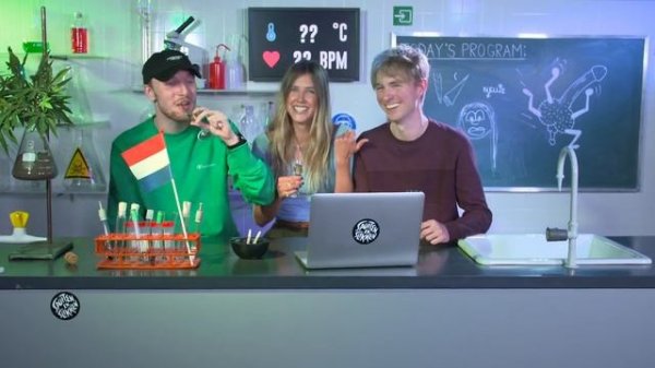 Live stream Drugslab