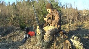 ОХОТА НА ВАЛЬДШНЕПА - ОХОТА ДЛЯ ДУШИ