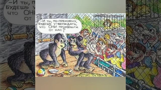 24 Ноября день эволюции. смотреть онлайн