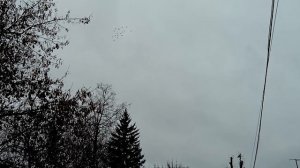 ПОЛЕТ УФИМСКИХ СПАРТАКОВ.