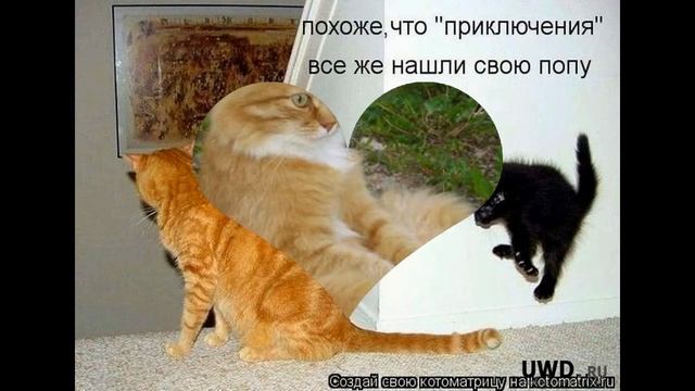 № 33. Наглая РЫЖАЯ МОРДА! смотреть онлайн