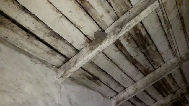 Результат после опрыскивания склада. Агро-канал смотреть онлайн