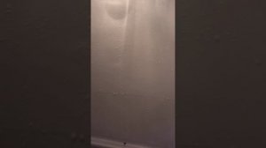 Конденсат.Холодильник.Лайфхак.