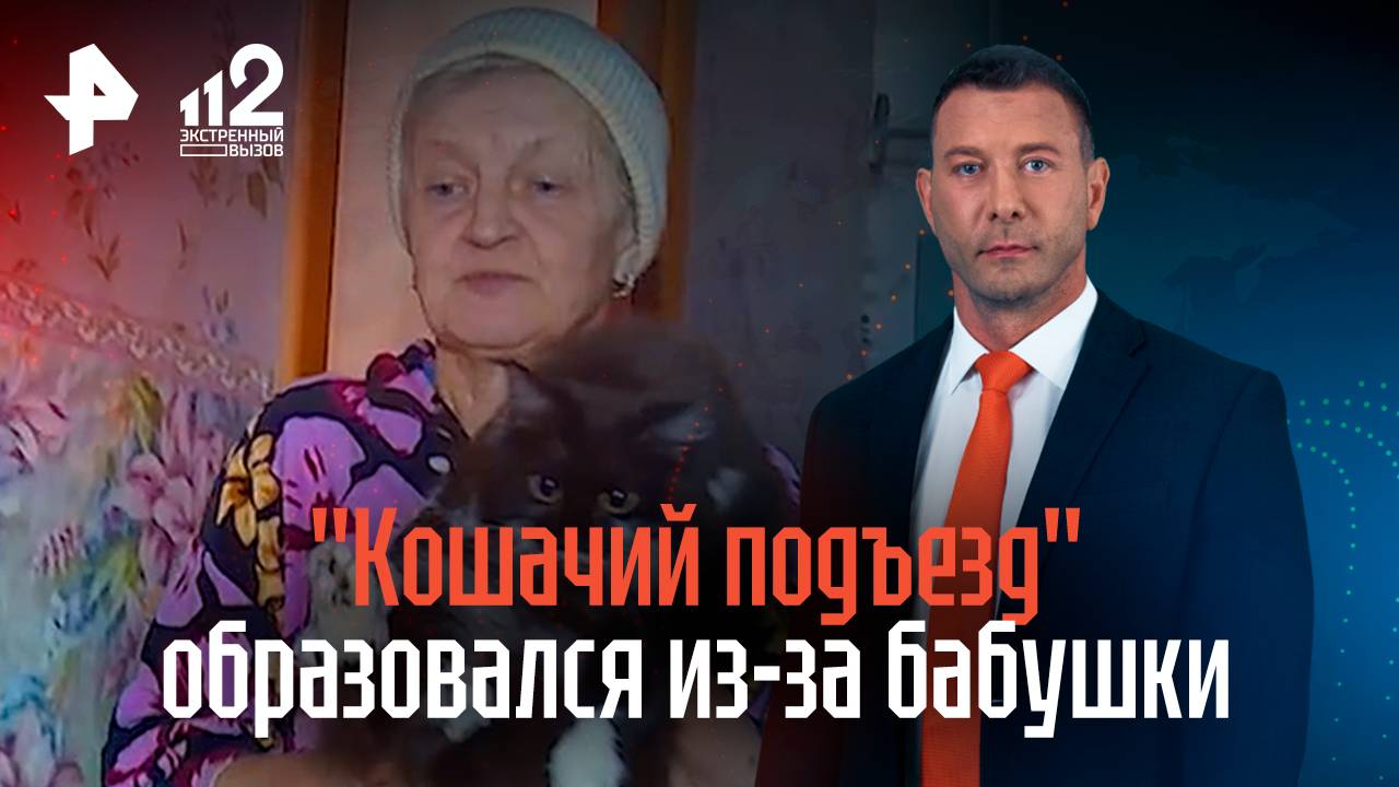 "Кошачий подъезд" образовался из-за бабушки смотреть онлайн