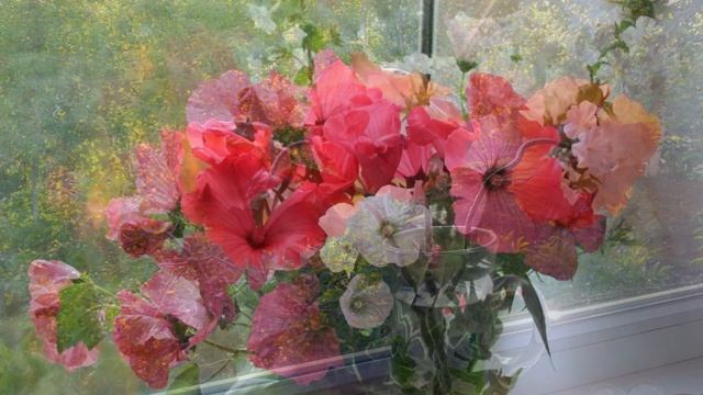 944. 🎼. Кай Метов - «Негромко о сокровенном» смотреть онлайн