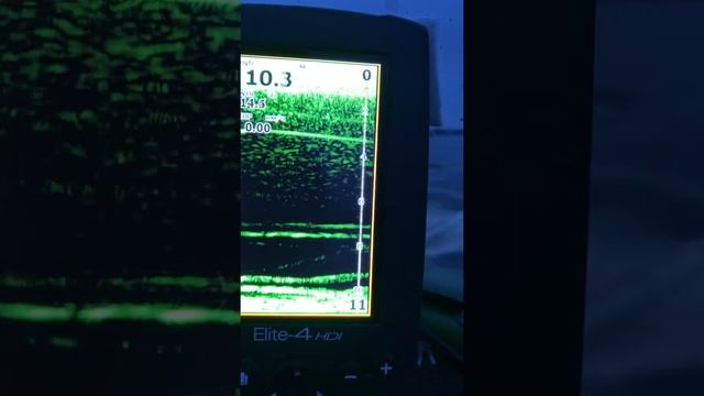 Подъем сома на эхолоте. Сом на Рыбинском вдхр смотреть онлайн