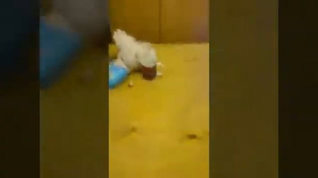 Бутылка воды смотреть онлайн