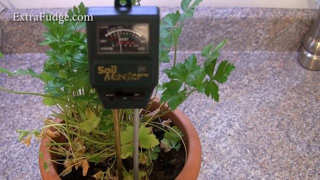 Soil Master Moisture Light and pH Meter Review смотреть онлайн