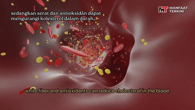 MANFAAT BUAH LABU KUNING UNTUK KESEHATAN смотреть онлайн