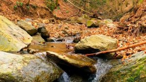 Давно не было такой хутбы | Почему Аллах не отвечает нам? Мухаммад Абу Усма
