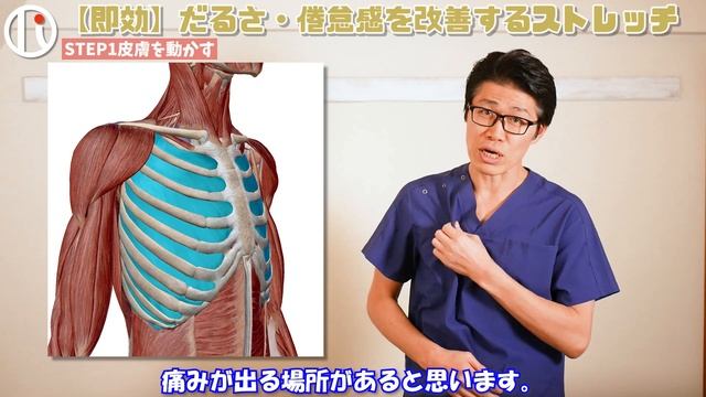 【スッキリ】だるさ・倦怠感、不眠、便秘、イライラを改善するストレッチ【自律神経】 смотреть онлайн