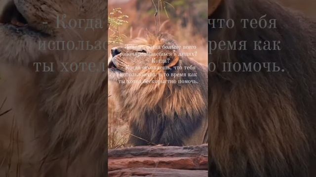 Жизнь смотреть онлайн