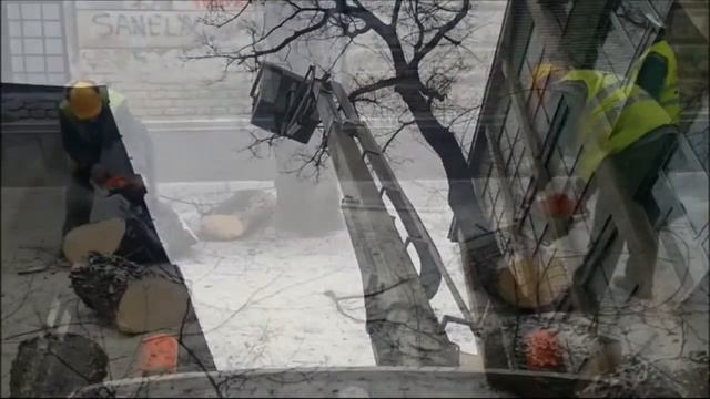 Kresanje drva u ulici Age Mamužića смотреть онлайн