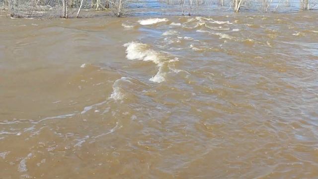 Оренбург урал. мост Солнечный/южный. Вода прибывает очень сильно. 11 апреля 2024 год. смотреть онлайн