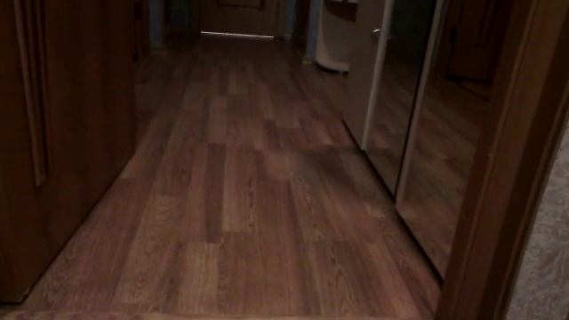 Умный кот Барсик приносит фантик! смотреть онлайн