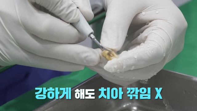 ※실제실험※ 스케일링하면 치아가 갈리는지 진짜 치아로 실험해봄!! смотреть онлайн