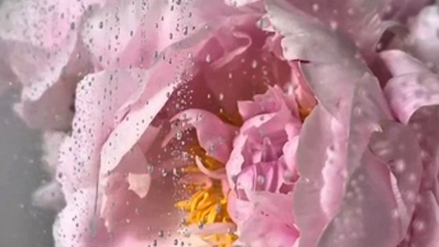 дождь идет на улице . смотреть онлайн