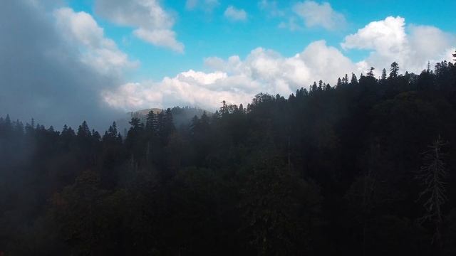 Mountain atmosphere. смотреть онлайн