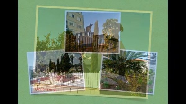 Ashkelon - Magic in the City - 2012. Ашкелон. Израиль.