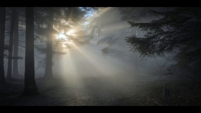 Led Zeppelin - What Is And What Should Never Be (4K/Lyrics) смотреть онлайн
