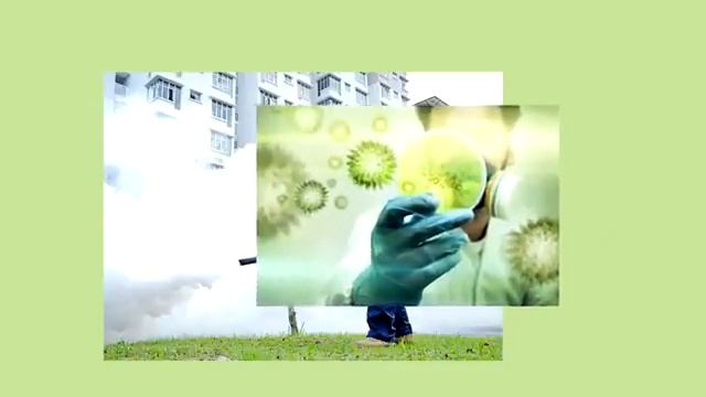 Дезинсекция, дезинфекция, дератизация и демеркуризация в городе Боре смотреть онлайн