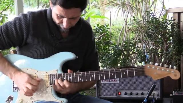 OohLaLa COBALT - WARMOTH STRAT - WOLFETONE pickups - FREIDMAN MINI DIRTY SHIRLEY смотреть онлайн