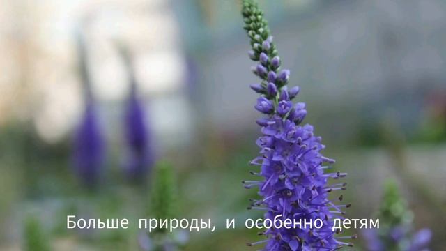 Гармонично. Детям смотреть онлайн