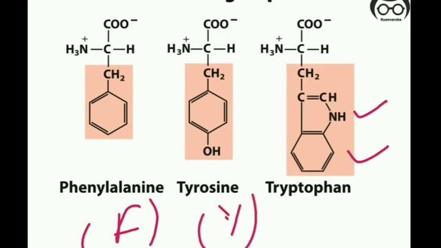 AMINO ACID STRUCTURE TRICKS || CSIR NET || GATE || DBT смотреть онлайн