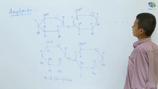 BIOMOLECULES L-14 | Amylose and Amylopectin | Deepak sir | Chemistry | Vidyasarita... смотреть онлайн