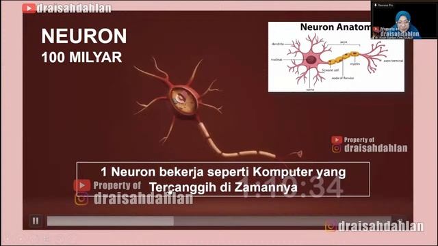 HANI 2022 : NAPZA & HEPATITIS -  Dr. AISAH DAHLAN, CHt., CM.NLP