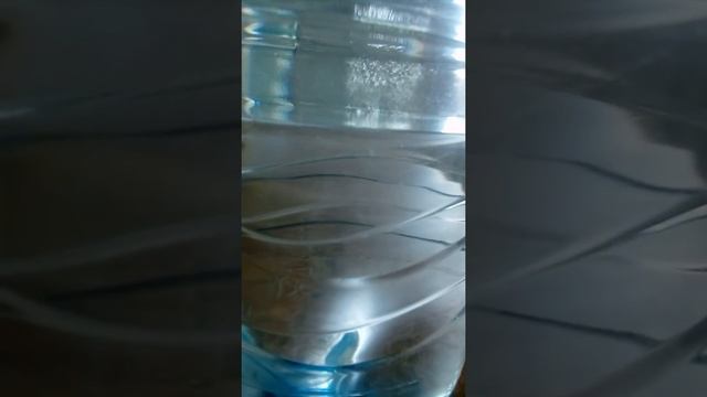 В питьевой воде Южноуральска черви!!!! 10 июня 2020 г. смотреть онлайн