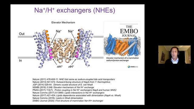 02.12.2021 - Structure and Function of Na+ and H+ dependent transporters смотреть онлайн