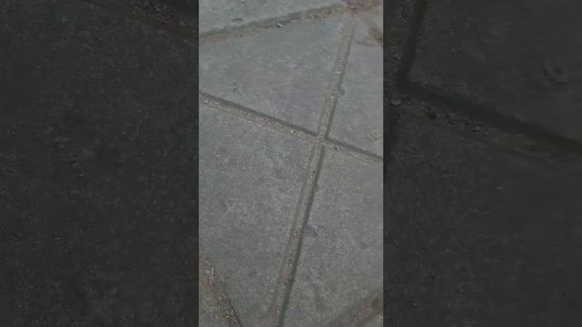Dezinfikatoriu kiemsargiai neturi 2020 03 30 Литва смотреть онлайн