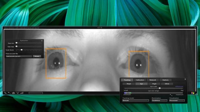 GT2 Open Source Eye Tracking from Gazegroup.org смотреть онлайн