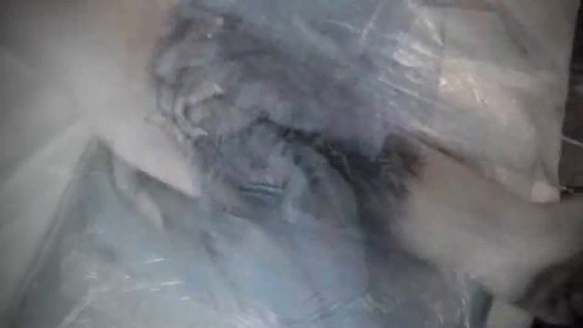 Ivolga TATTOO- Fred Durst Portrait смотреть онлайн