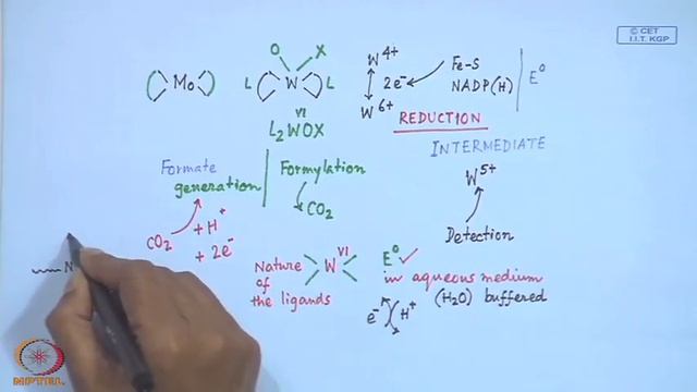 Mod-30 Lec-30 Tungsten Enzymes - II смотреть онлайн