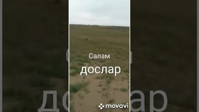 ногайские песни & Салам досларым. смотреть онлайн
