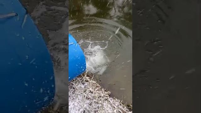 запуск смотреть онлайн