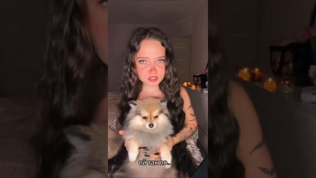 не забудь подписаться ❤️ смотреть онлайн