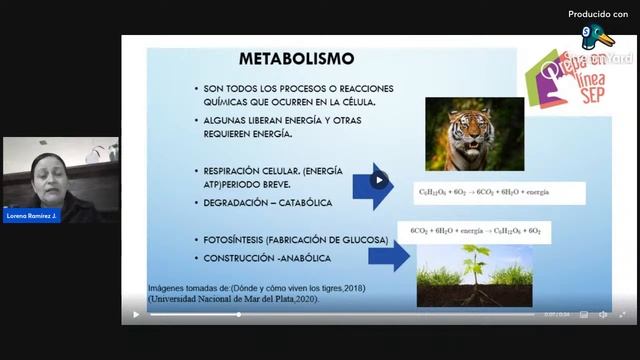 Espacio abierto con tu asesor virtual- viernes 26 abril del 2024 смотреть онлайн