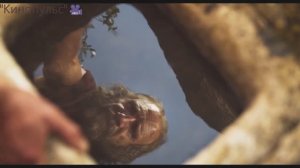 Возвращение Одиссея.